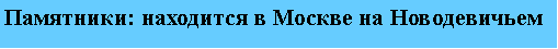 Подпись: Памятники: находится в Москве на Новодевичьем 